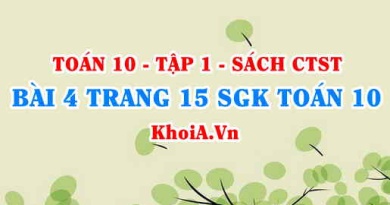 Bài 4 trang 15 SGK Toán 10 tập 1 Chân trời sáng tạo
